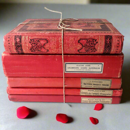 Antique French Red Book Stack from Tiggy & Pip - Just €120! Shop now at Tiggy and Pip