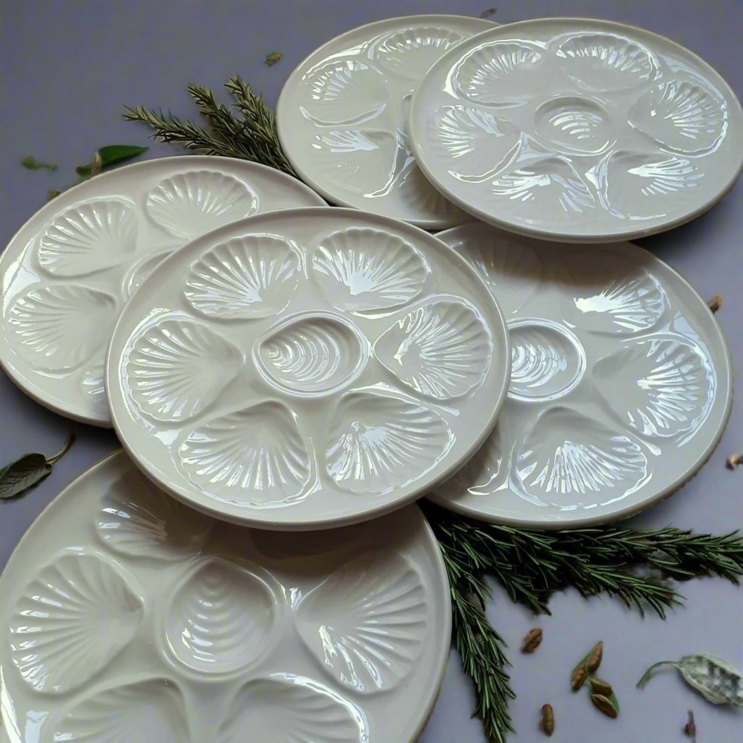 Six White Oyster/Scallop Plates from Tiggy & Pip - Just €168! Shop now at Tiggy and Pip