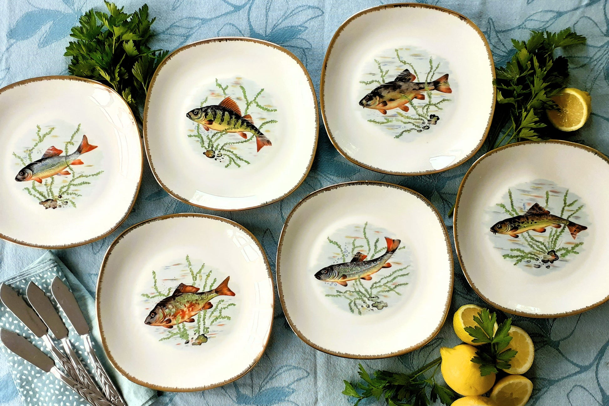 Six French Porcelain Fish Plates from Tiggy & Pip - Just €168! Shop now at Tiggy and Pip