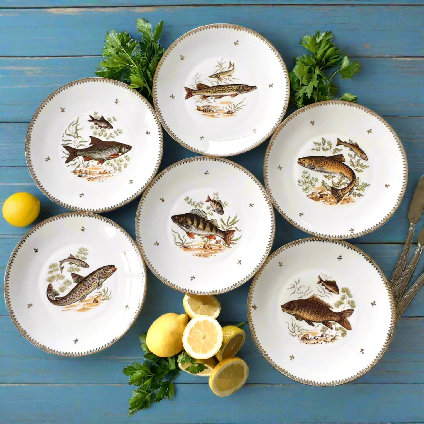 Six Limoges Porcelain Fish Plates from Tiggy & Pip - Just €156! Shop now at Tiggy and Pip