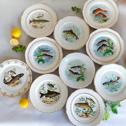 TEN Mix and Match Vintage Fish Plates from Tiggy and Pip - Just €240! Shop now at Tiggy and Pip