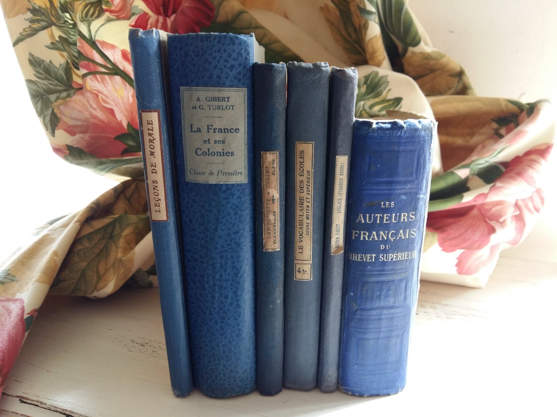 French Royal Blue Book Bundle of Early 1900's Antiquarian School Books. from Tiggy & Pip - Just €138! Shop now at Tiggy and Pip