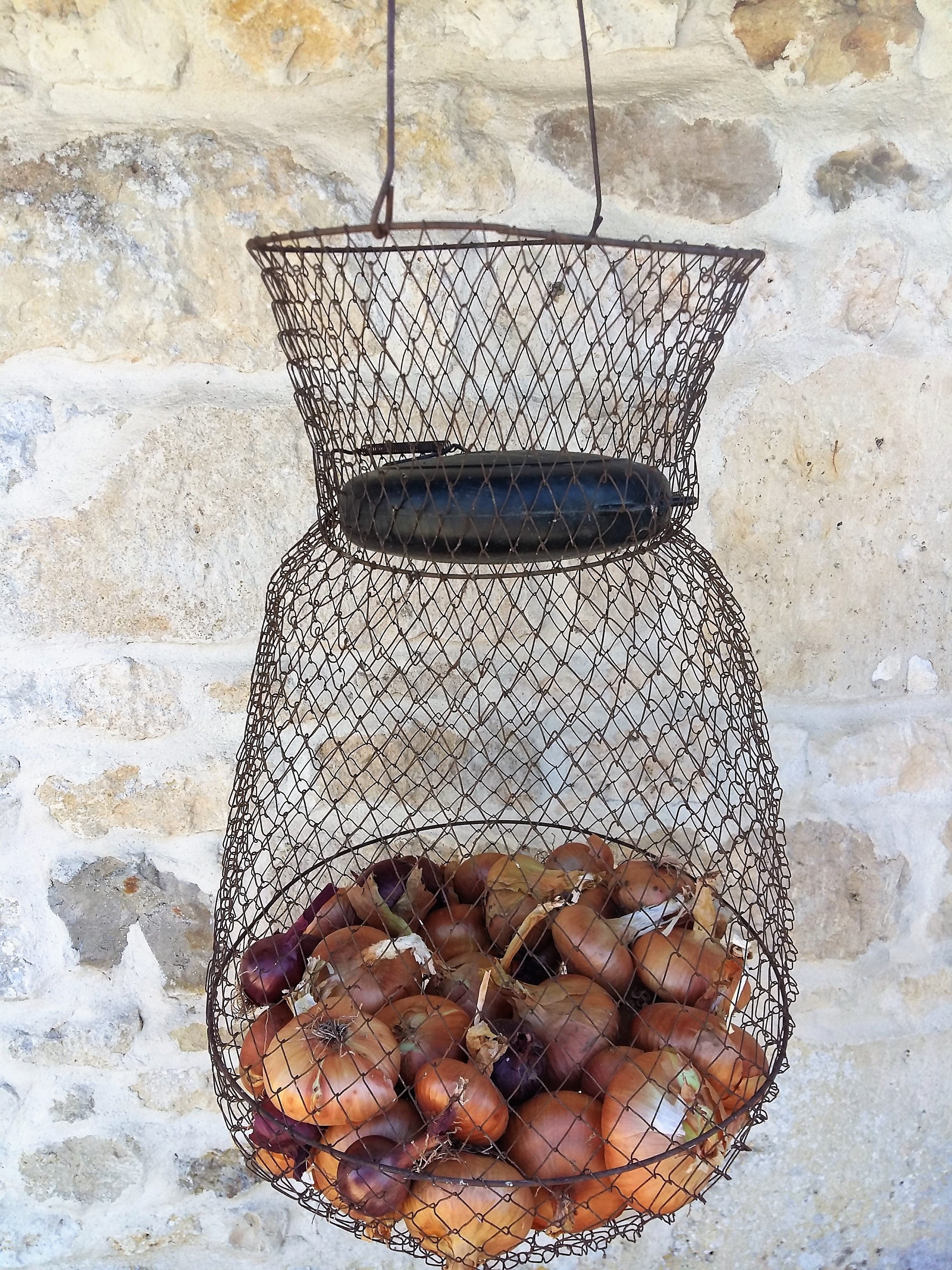 Enormous Wire Fishing Basket. Lidded, Collapsible, Wire Hanging