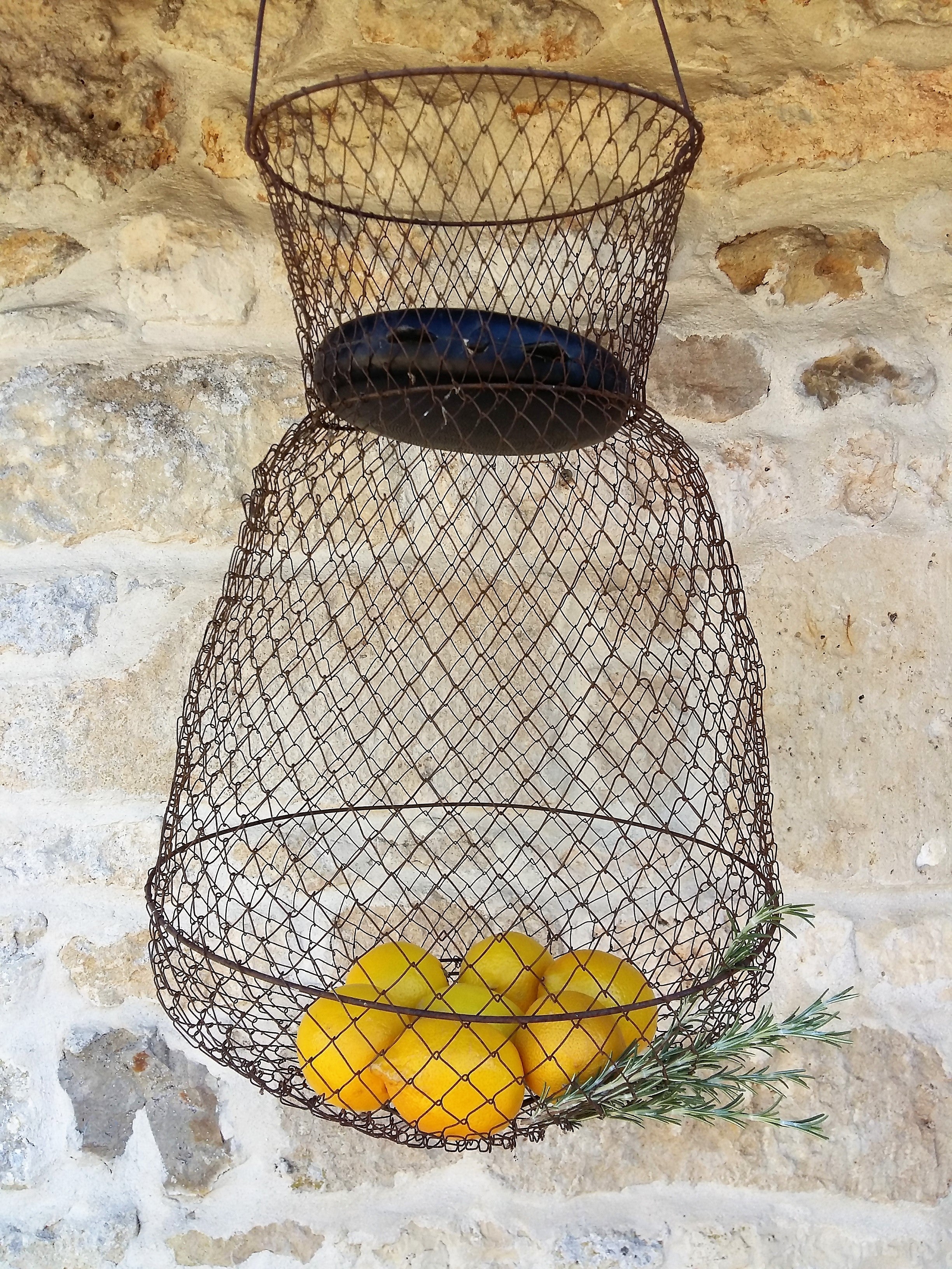 Enormous Wire Fishing Basket. Lidded, Collapsible, Wire Hanging